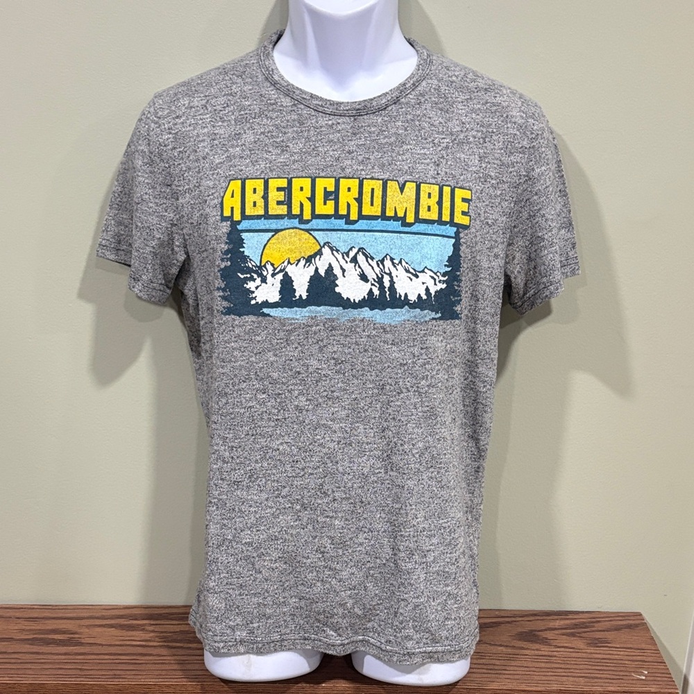 Abercrombie & Fitch Heather Gray Men’s T-Shirt w/ a Mountain Graphic Logo Sz M